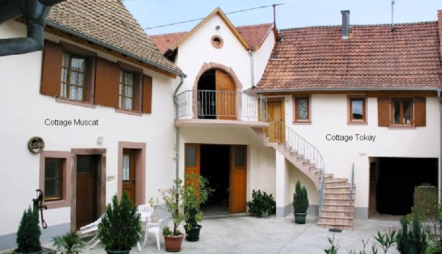 Gites Le Tokay Et Le Muscat Gertwiller Номер фото